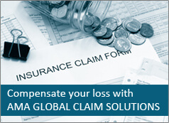 Global Claim solutions